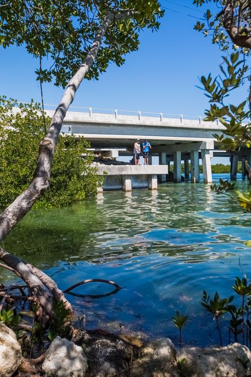 Creekside Inn Islamorada Tavernier Exteriör bild