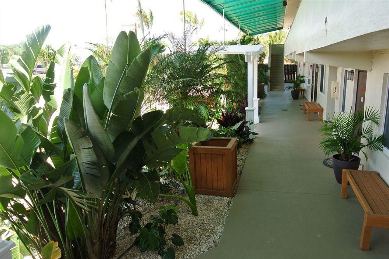 Creekside Inn Islamorada Tavernier Exteriör bild